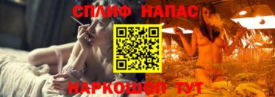 spice Будённовск